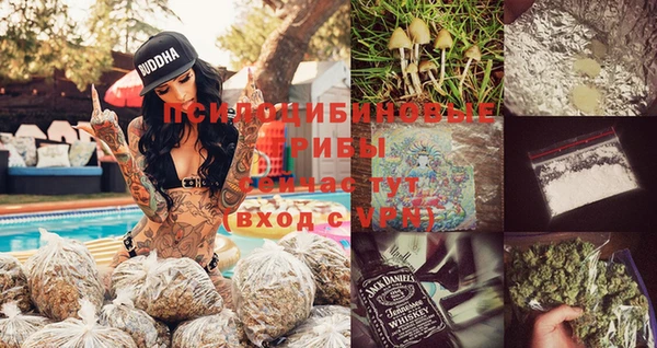 стафф Липки