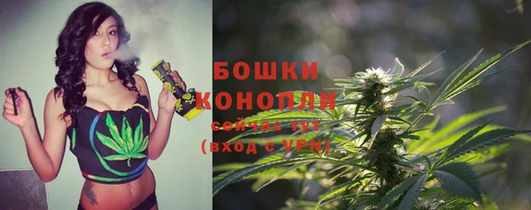 гидра Лихославль