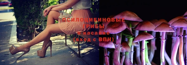 гидра Лихославль